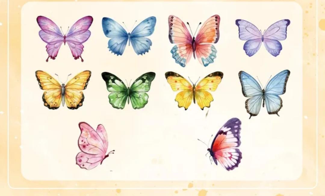 Stickers - mariposas