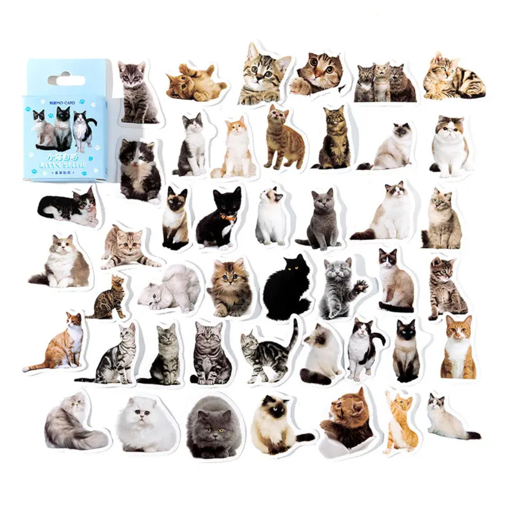 Caja de stickers - gatitos caja azul