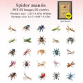 Stickers - Spider mantis
