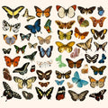 Stickers - Mariposas pequeñas