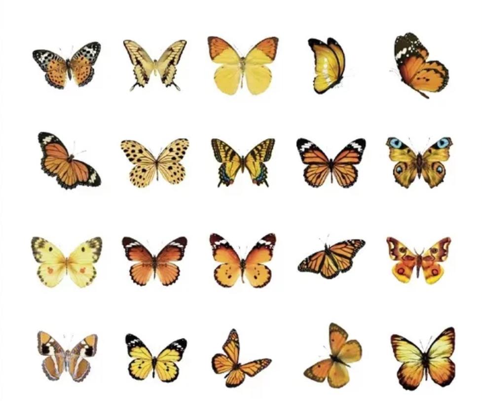 Stickers mariposas monarca