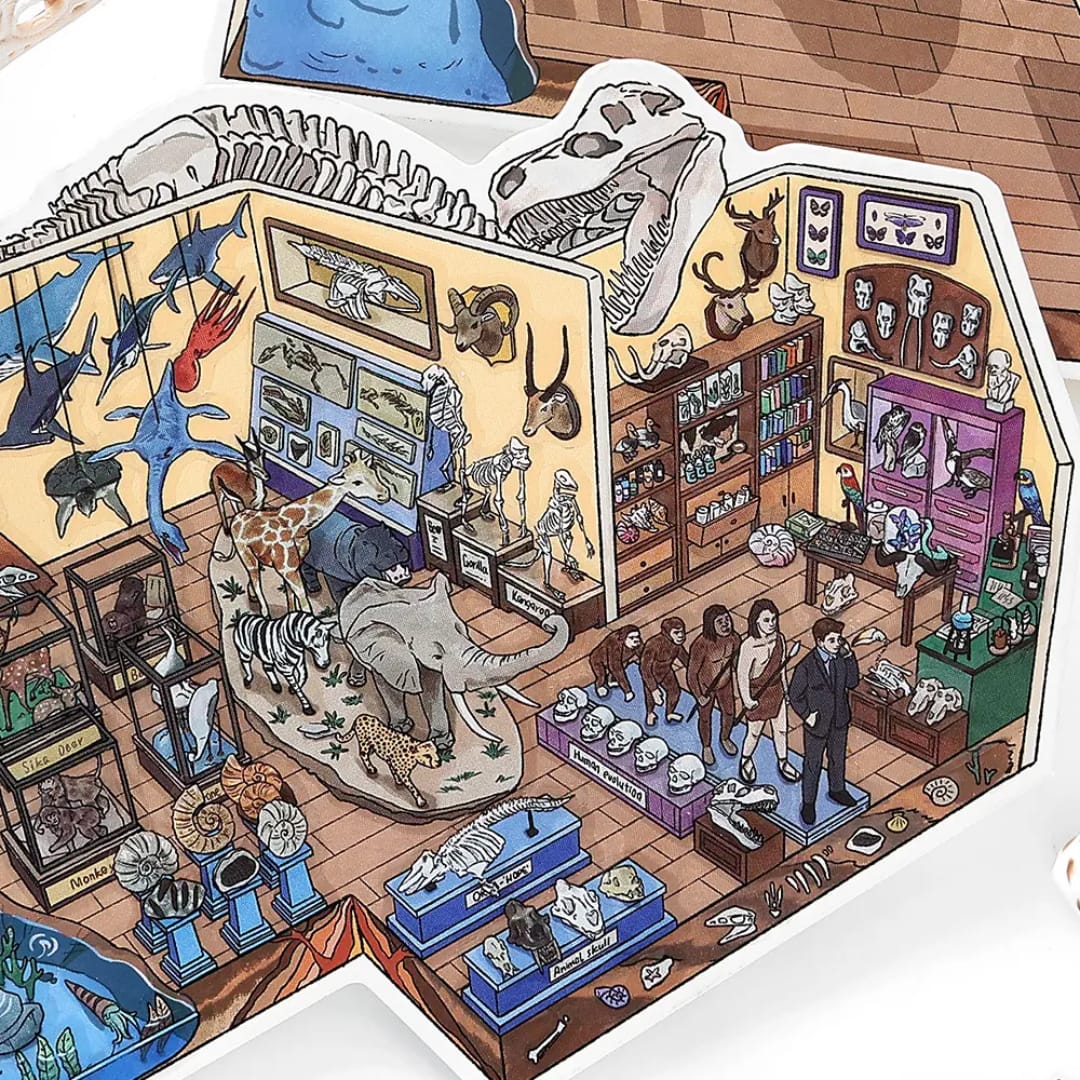 Escenario armable - Museo historia natural