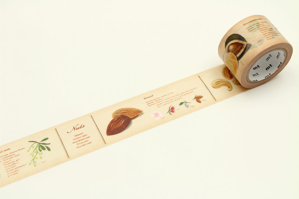 Washi mt - enciclopedia - nuts
