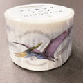 Washi Tape dinosaurios - Pteranodon